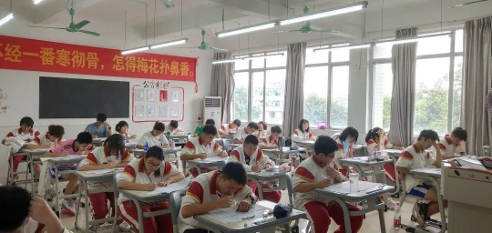 图片11