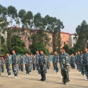 图片2