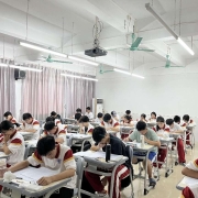 图片13